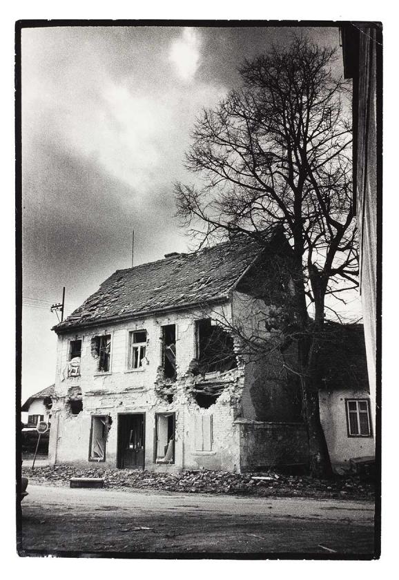 Sunja 1991