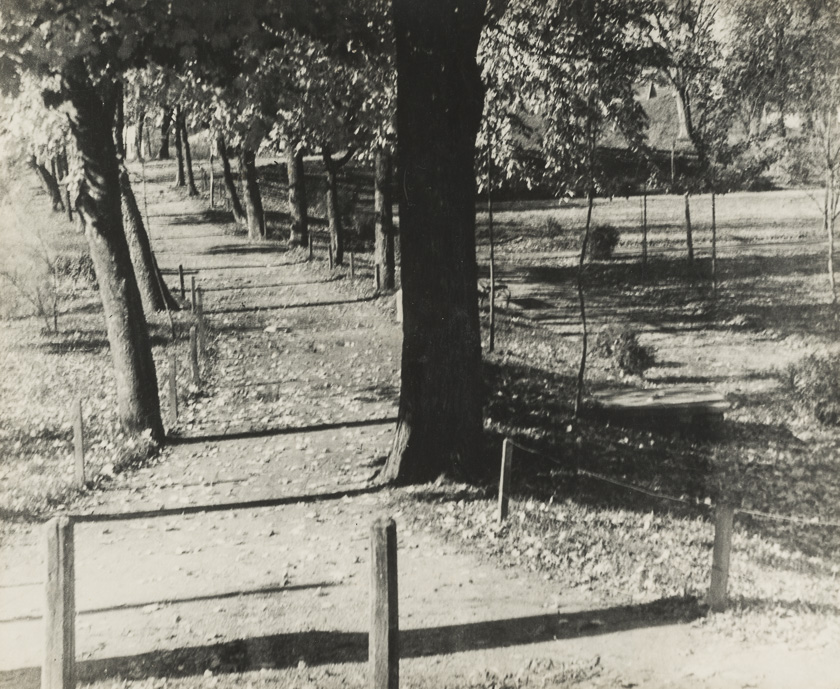 Motiv s promenade