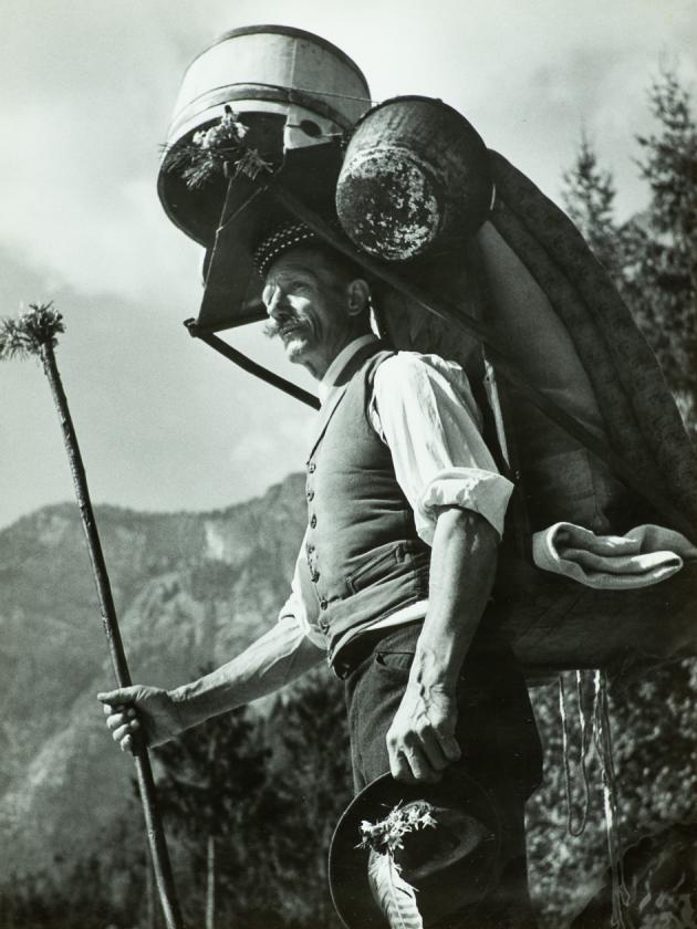 Bohinjski pastir