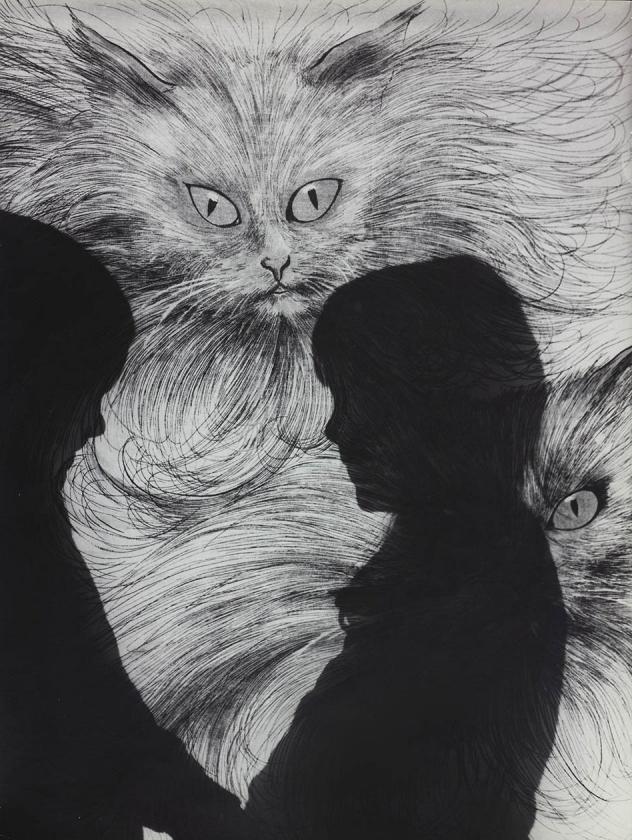Bajka