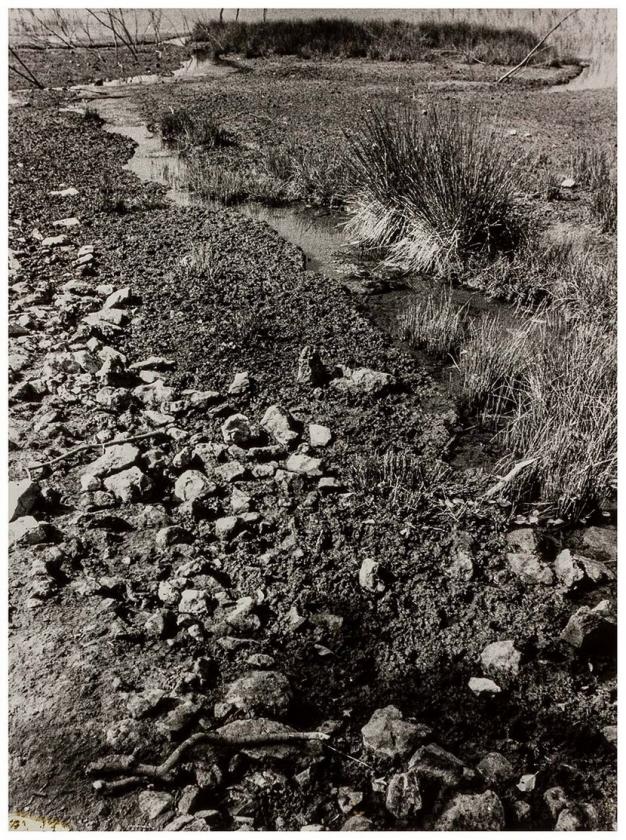 Piskel