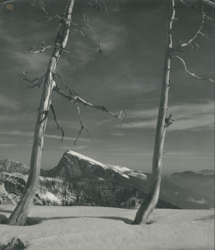 Winterlandschaft
