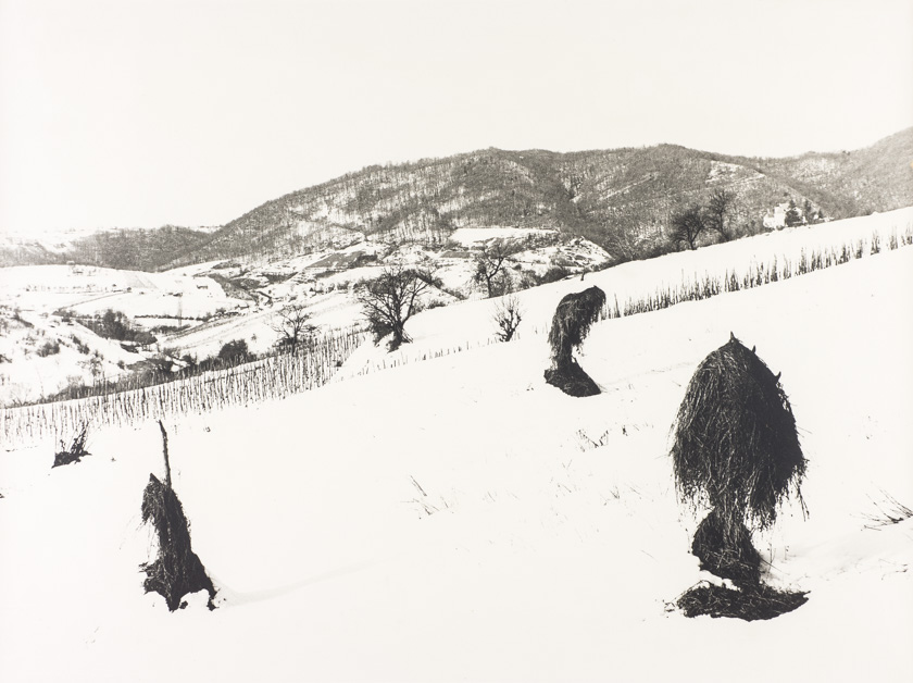 Plastevi