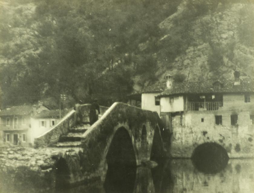 Bez naziva 21