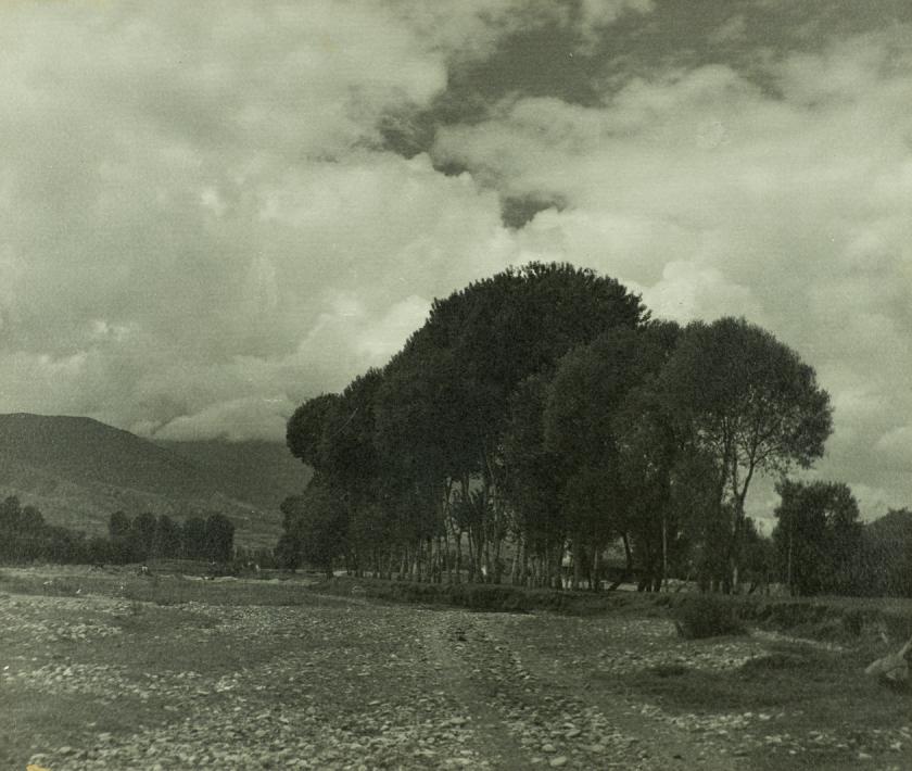 Krajobraz