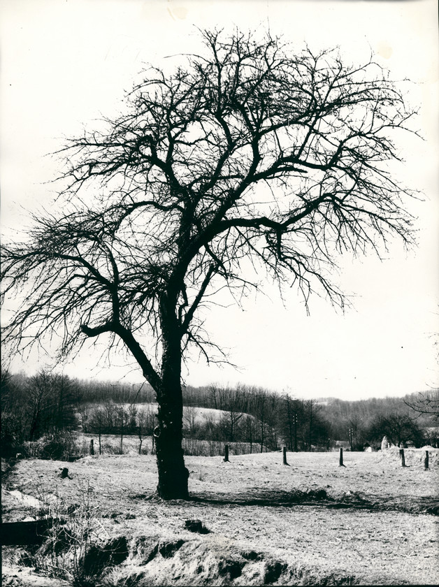 Hrvatsko zagorje