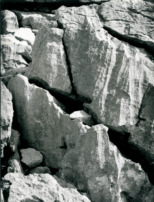 Kipar priroda