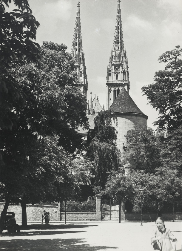 Park Ribnjak