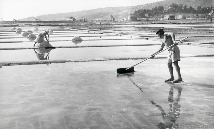 Salt-work