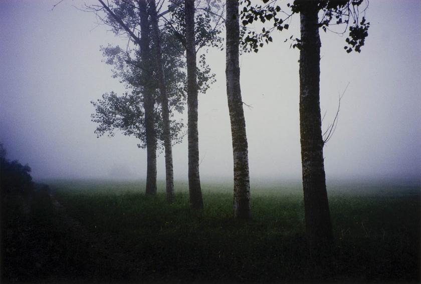 Kvintet