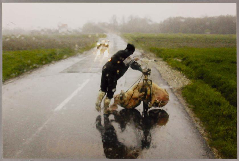 Piggy express