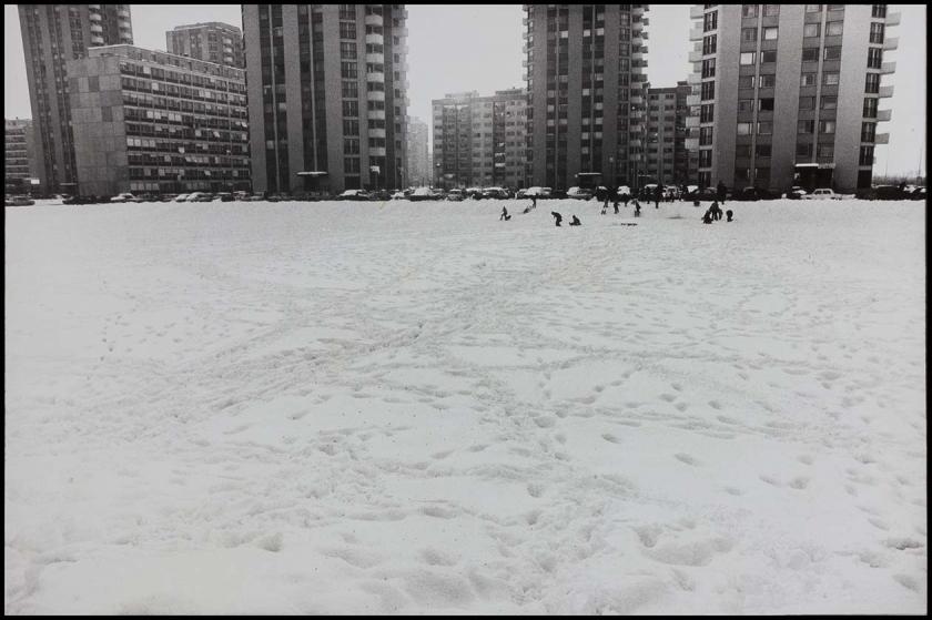 Trgovi 78