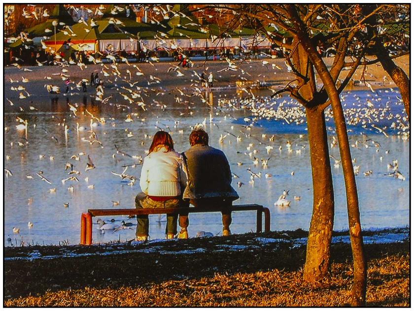 zimska romansa na jarunu