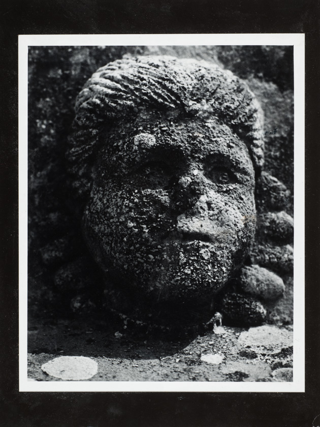 Brački portret 3