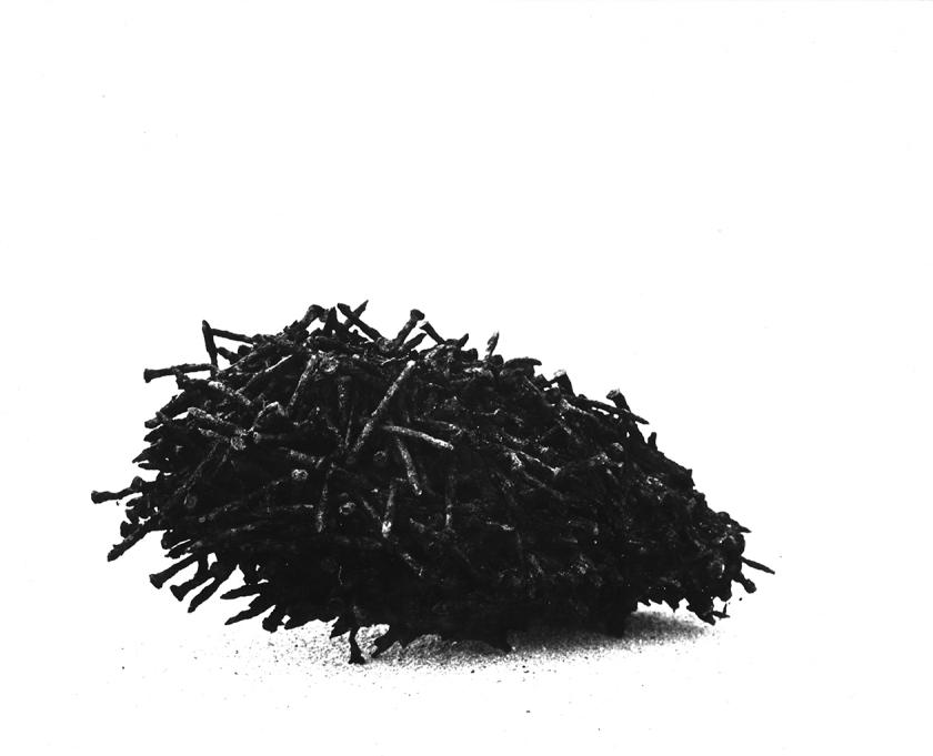 Jež