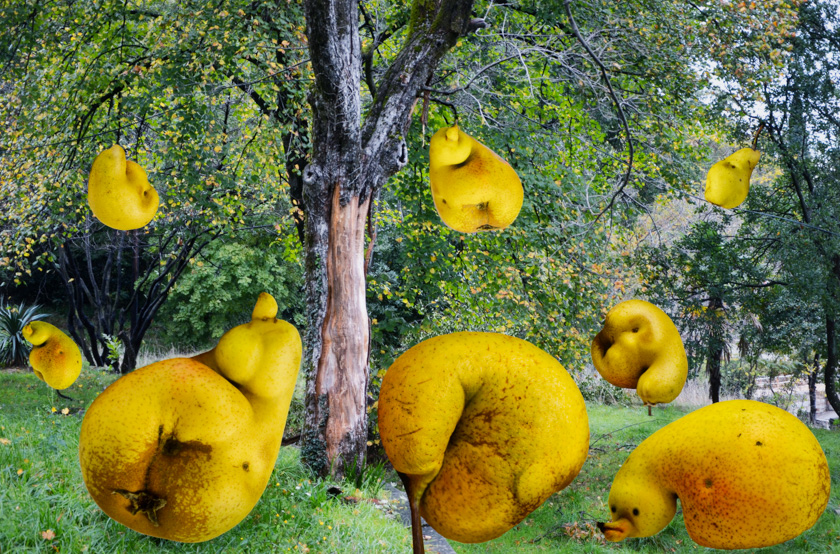 Garden of Sculptures