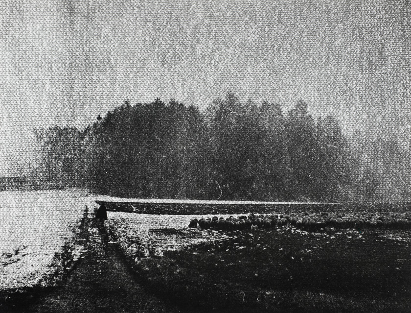 Vuna