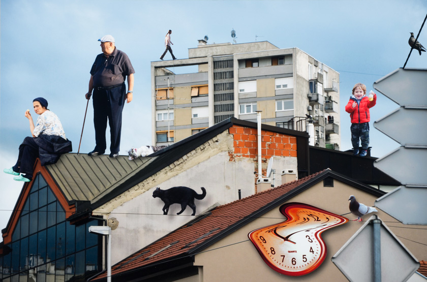 Zagrebs living Roofs