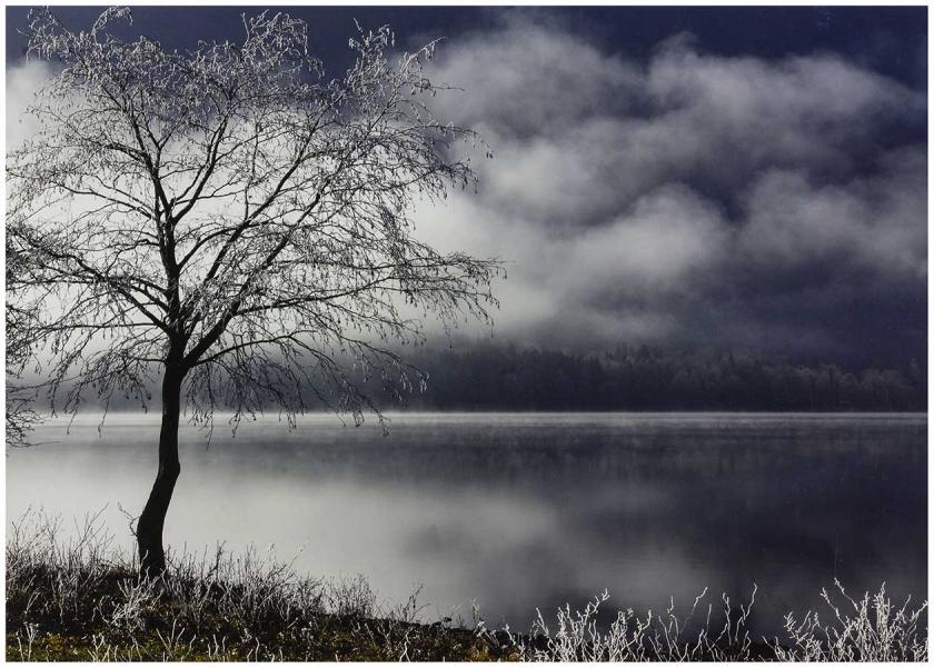 By the Lake