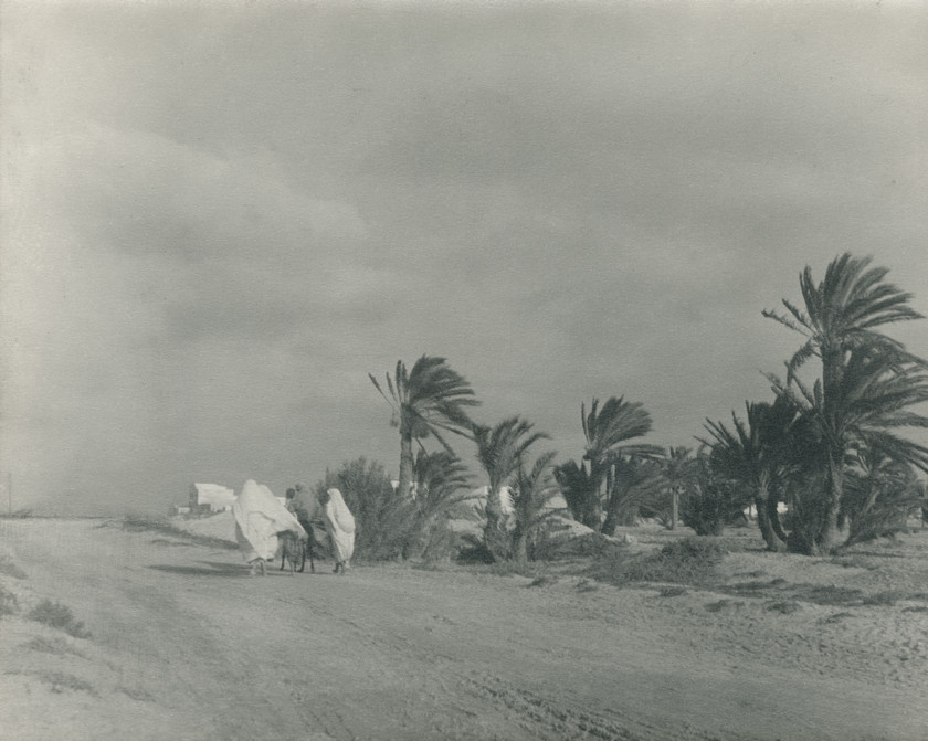Way to the Desert
