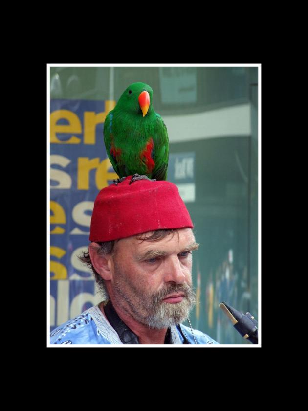 Clo4 my parrot sax and me