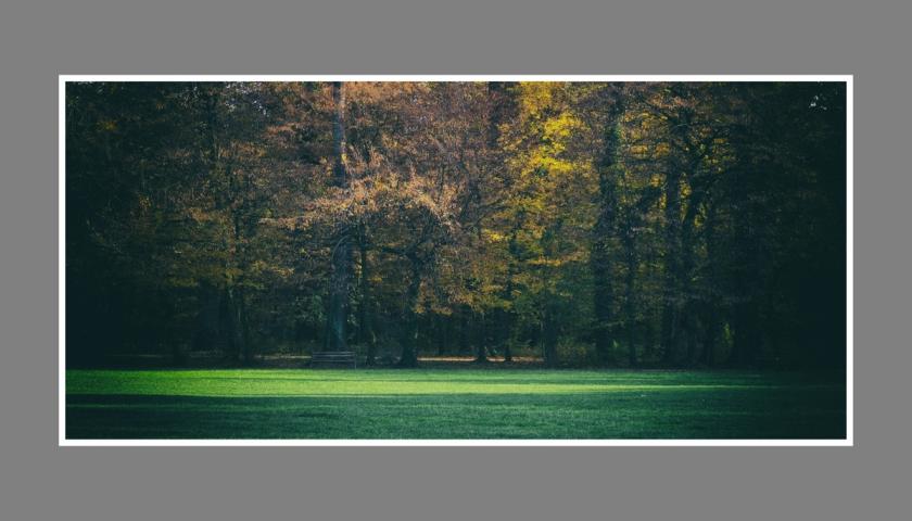 Maksimir 2