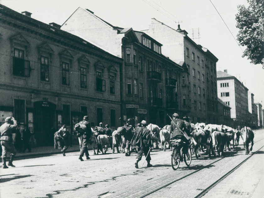 Njemačka soldateska pri povlačenju prema zapadu