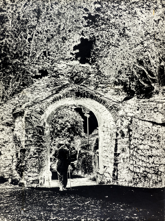 Buzetska porta