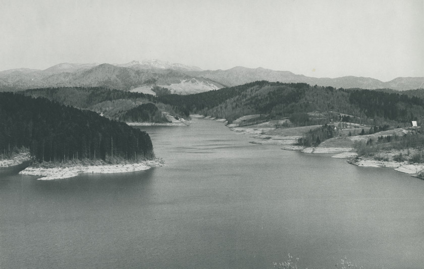 Pogled na jezero 1