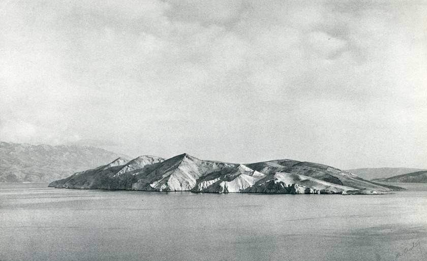 Prvić