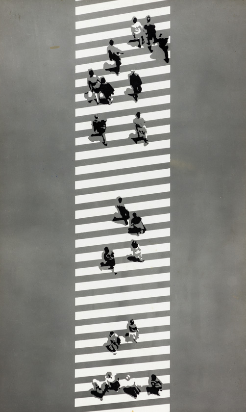 Zebra 2
