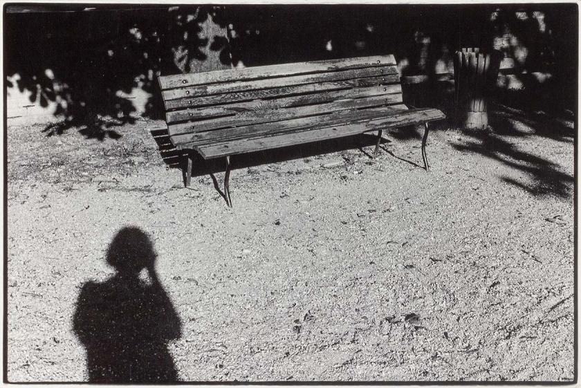 Sjena 3