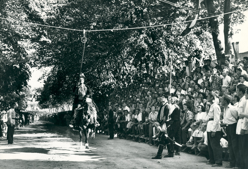 Sinjska alka