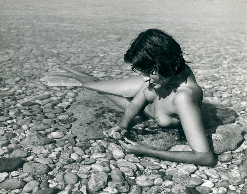 Sirena