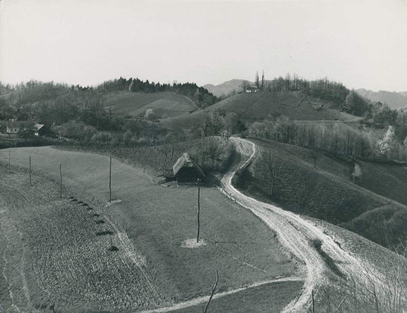 Bijela cesta