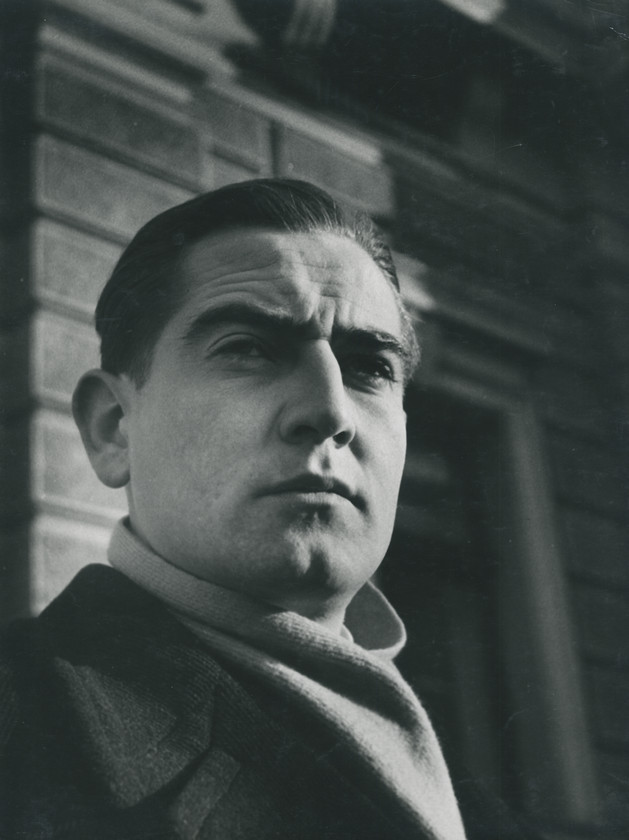 Portret mladića