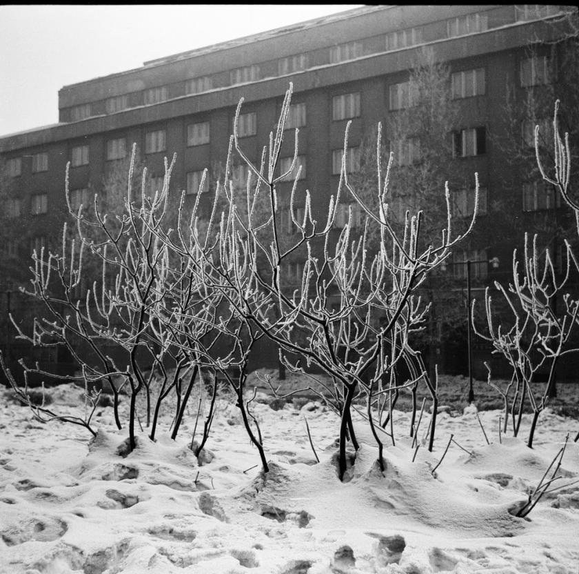 Inje- studentski dom