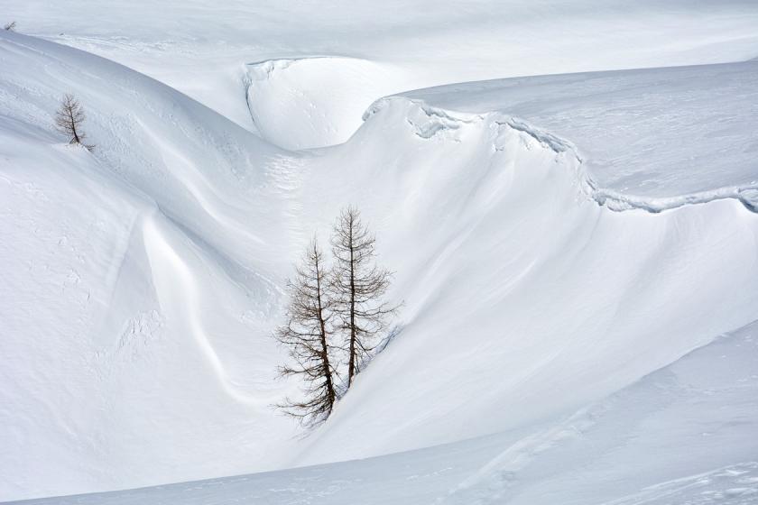 Day in white satin