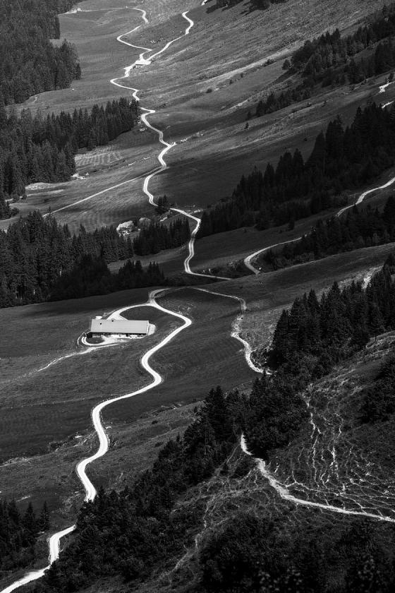 White streams_2013.