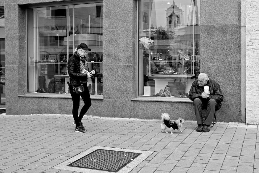 A dogs life