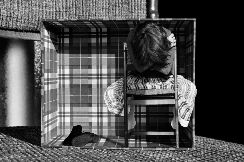 Shelter