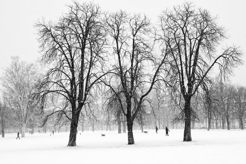 Three sisters