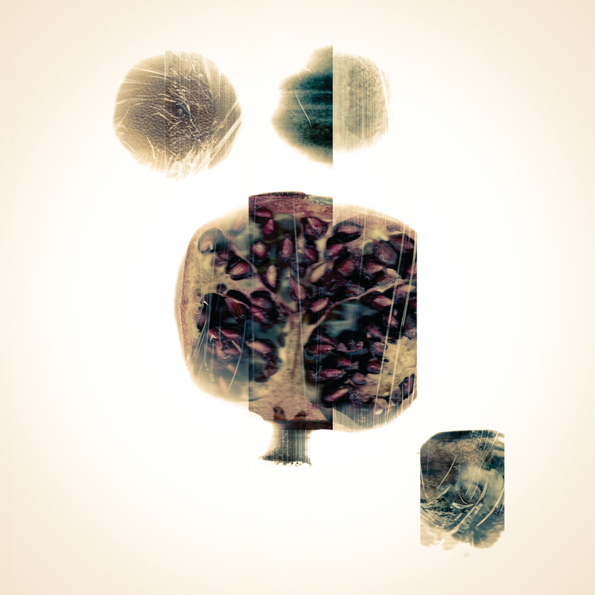 Rotting fruit corrupt scannograms 1