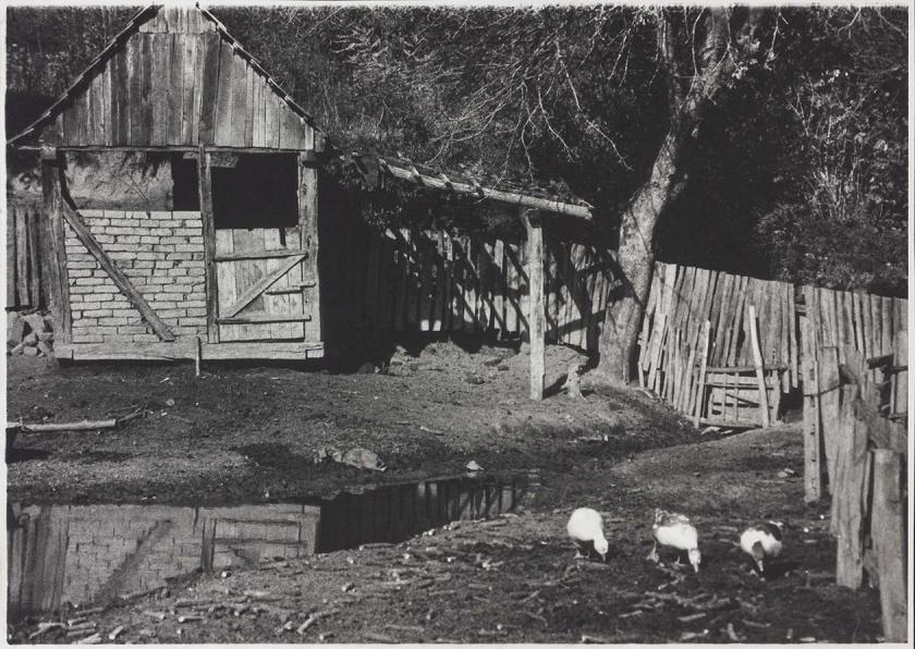 Seoska ulica 1