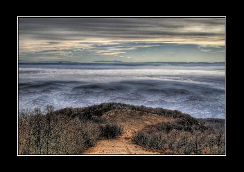 Žitnica