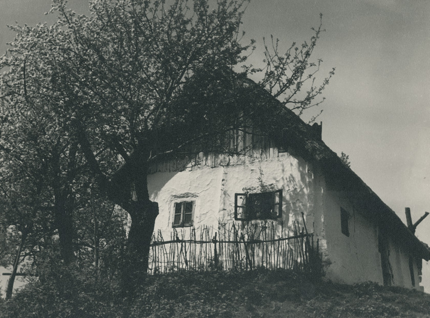 Zagorska klet