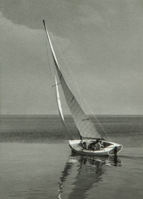 Jedrilica