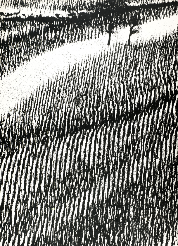 Vinogradi 1