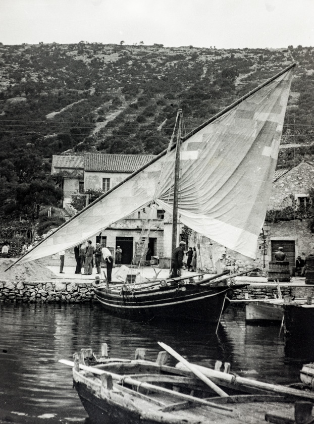 Lučica