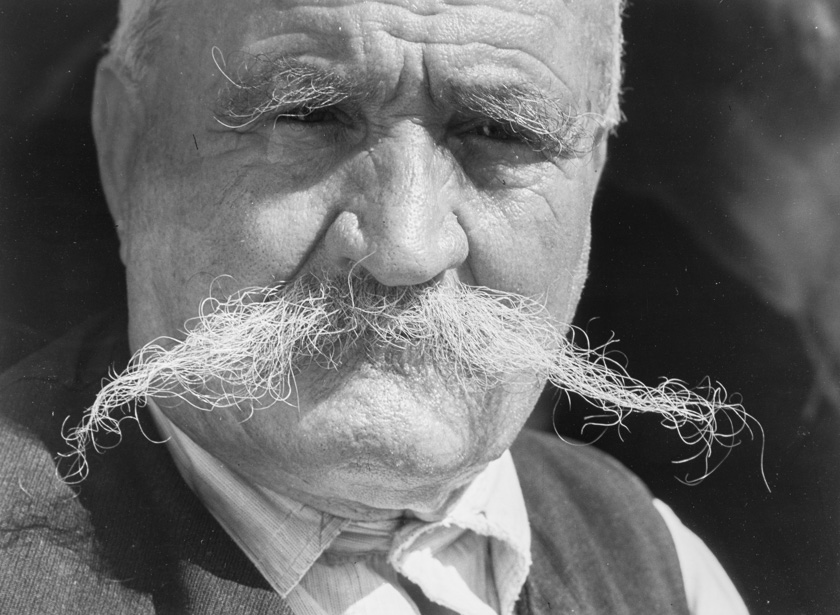 Portret starca